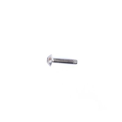 SCREW (MRD-34-60198-25)