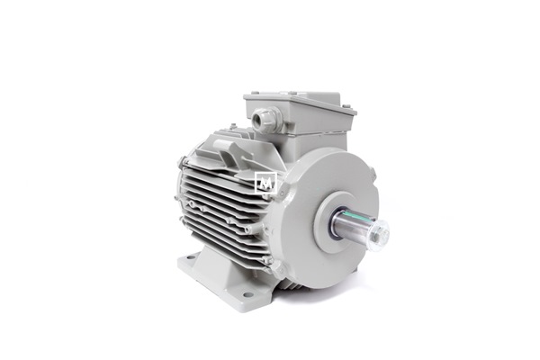 S/EX MOTOR SUPRA 450 / 550 3.6kW (MRD-54-60017-03)